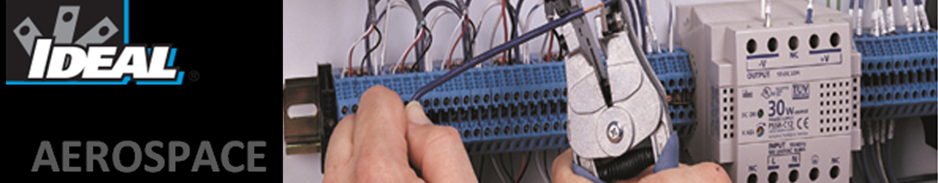 IDEAL-Distributor-South-East-Asia